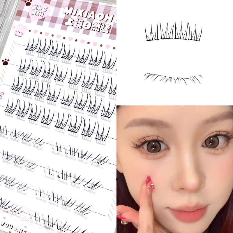 Individual Lash Tray - رموش علوية شفافة ومختلطة من ميكسيوه،