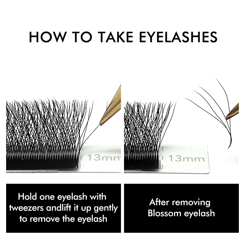 NATUHANA W-شكل 4D 5D حجم رمش م - مراجعة Individual Lash Tray وسعره